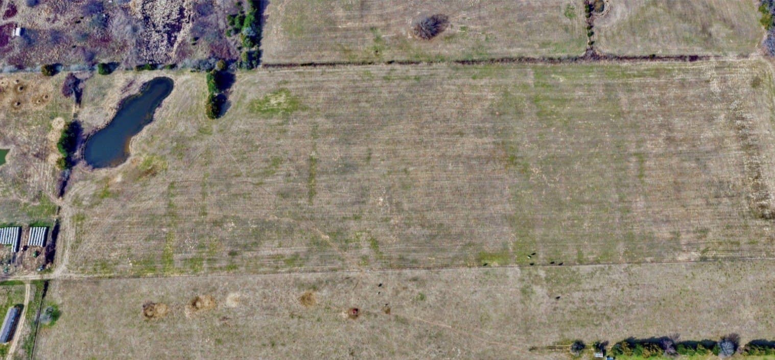 25 acres in Lamar County - photo 8