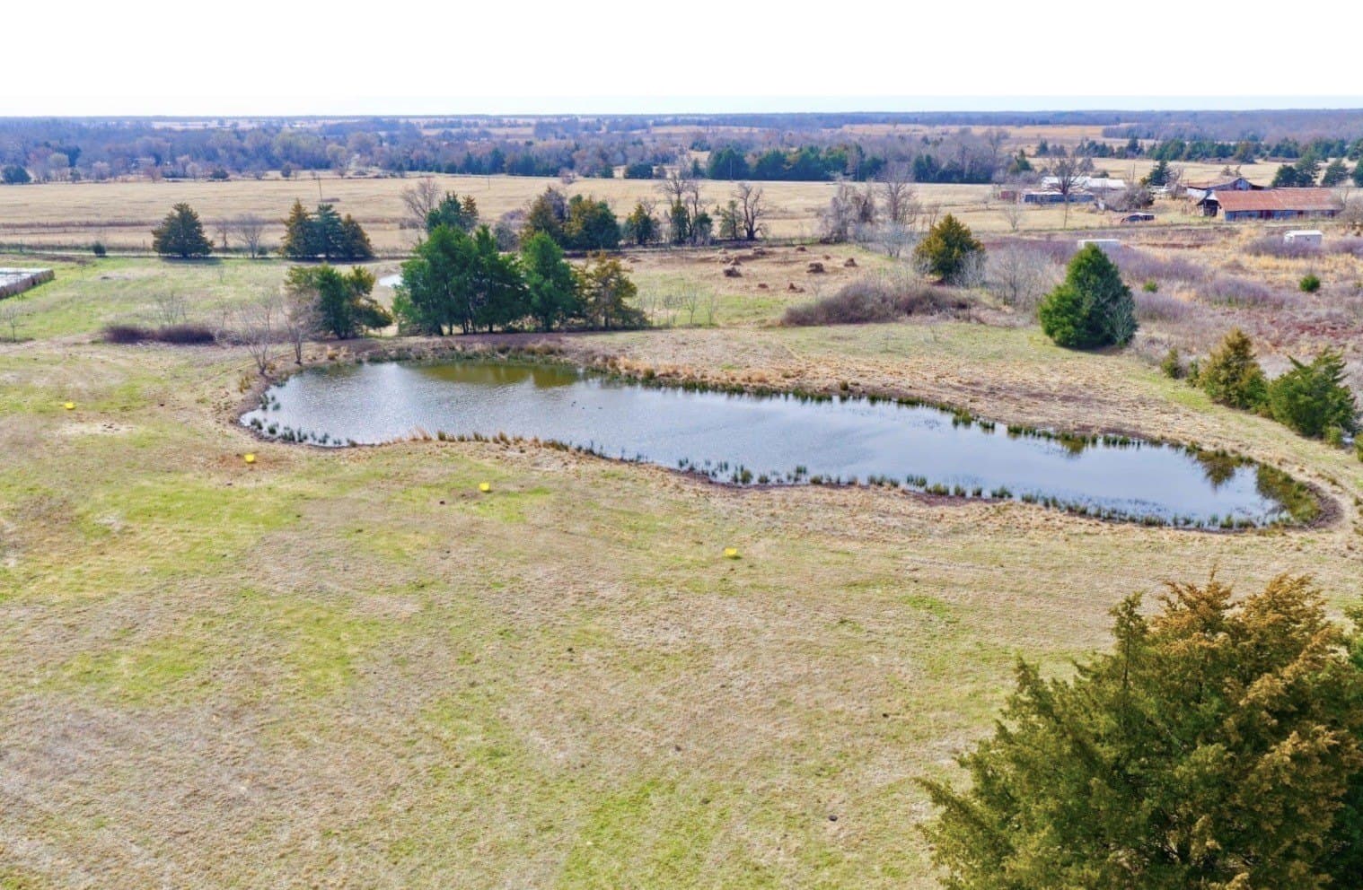 25 acres in Lamar County - photo 4