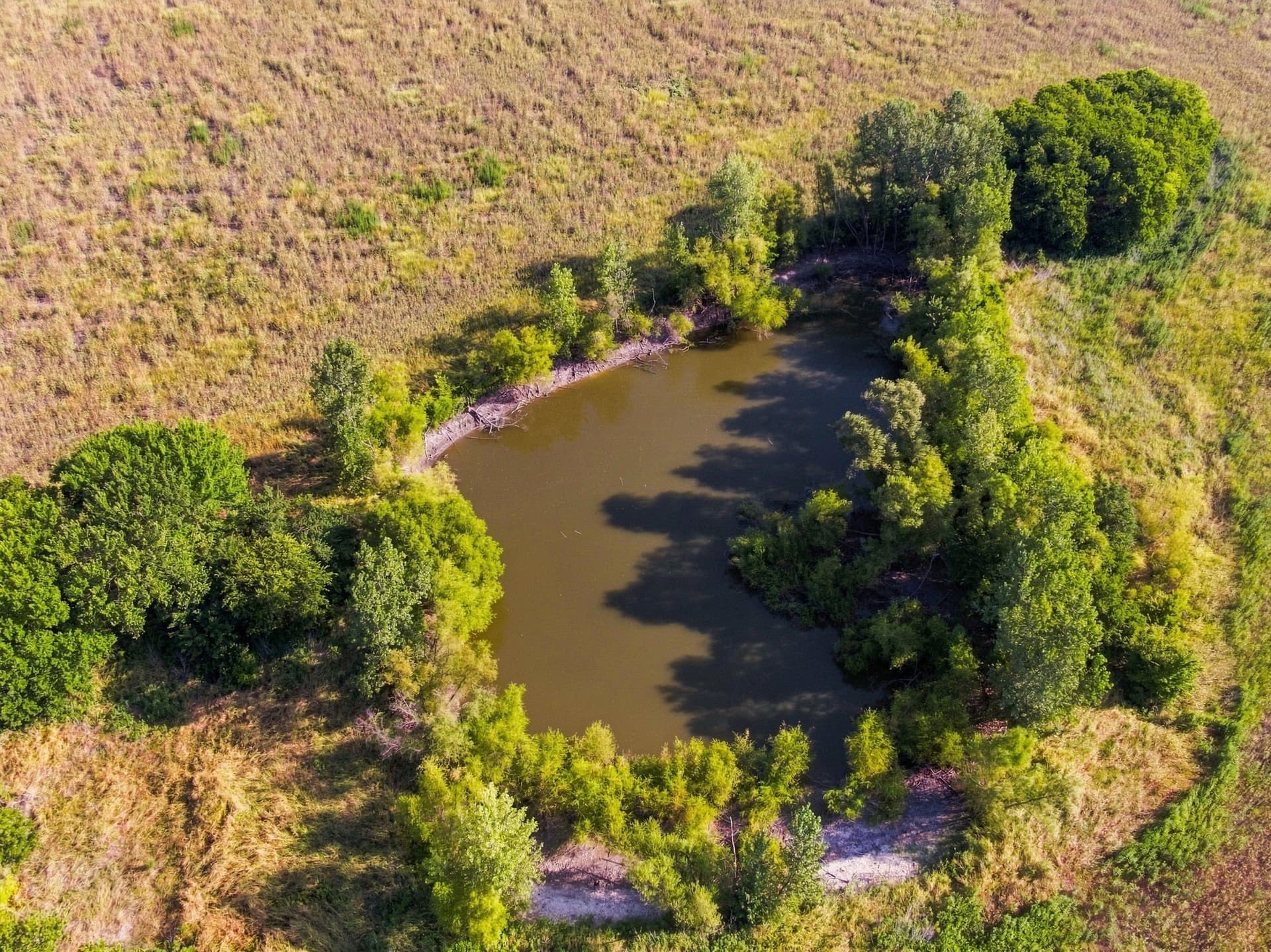 101.85 acres in Ellis County - photo 11