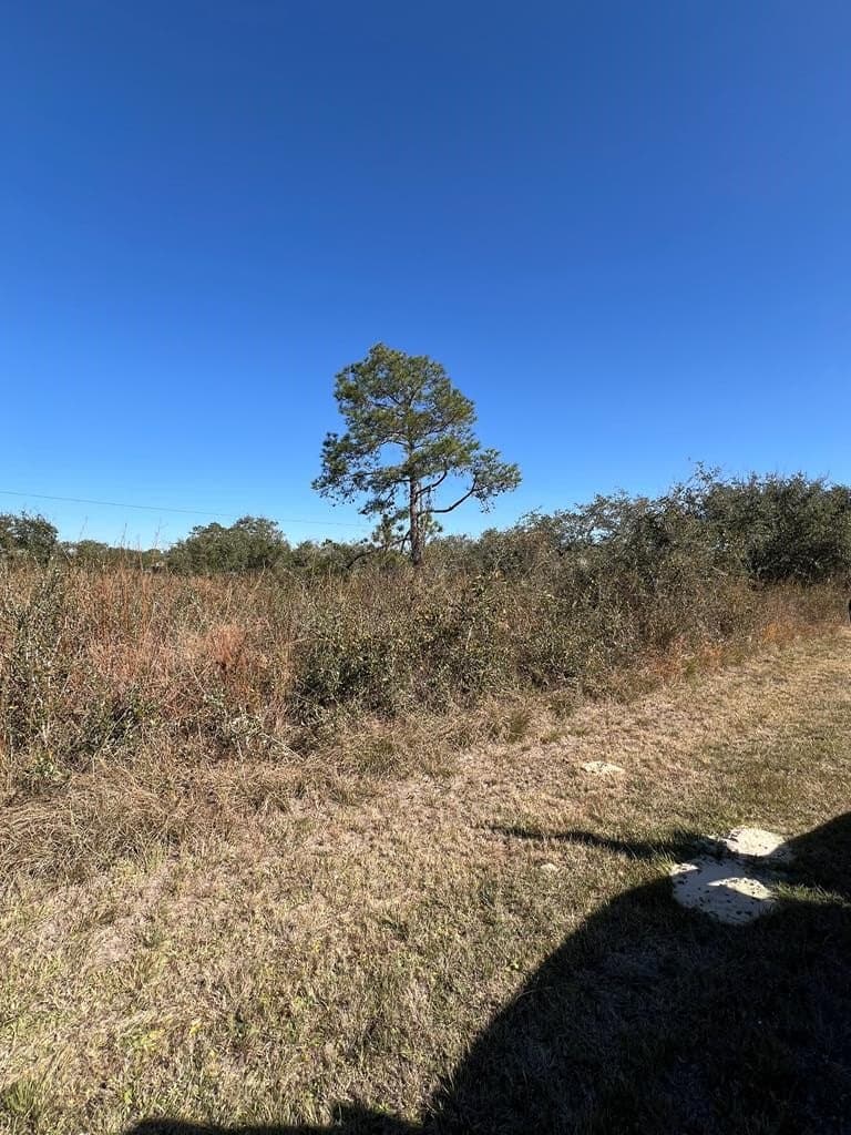 0 acres in Texas County