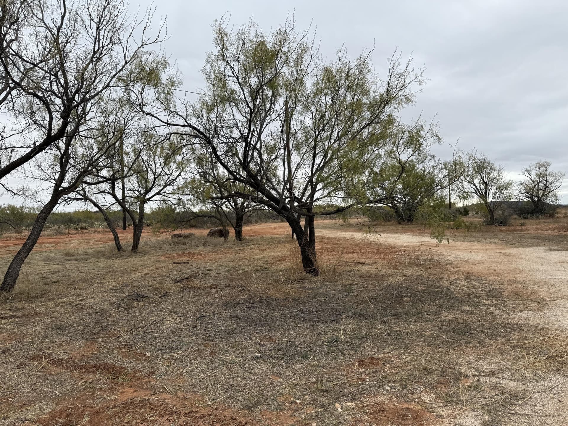 158.05 acres in Taylor County gallery image 2