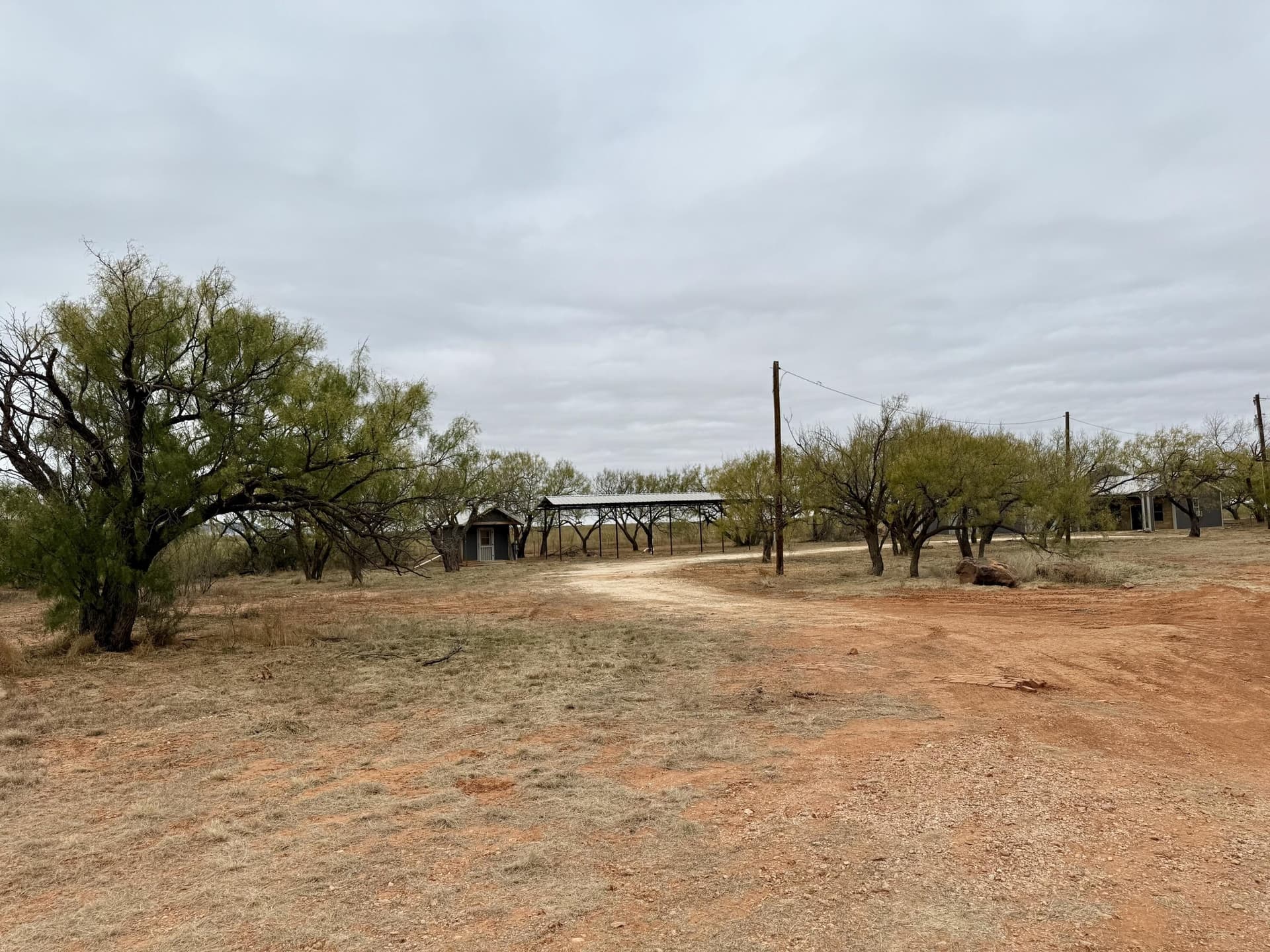 158.05 acres in Taylor County gallery image 4