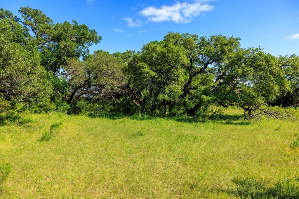 335.11 acres in Gillespie County - photo 58