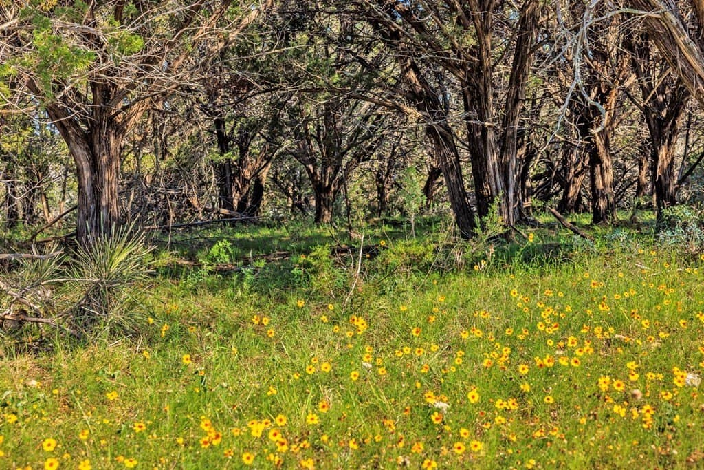 335.11 acres in Gillespie County - photo 63