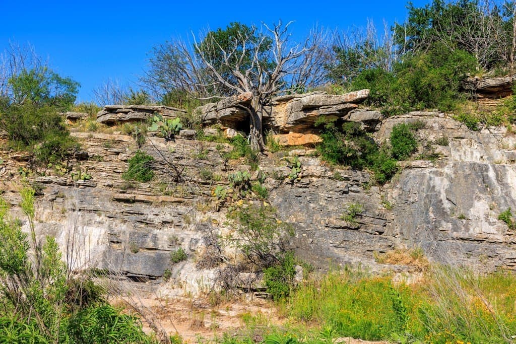 335.11 acres in Gillespie County - photo 52