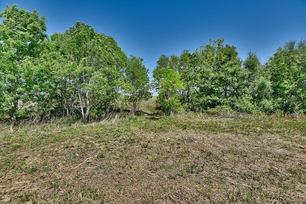 15 acres in Fayette County gallery image 2