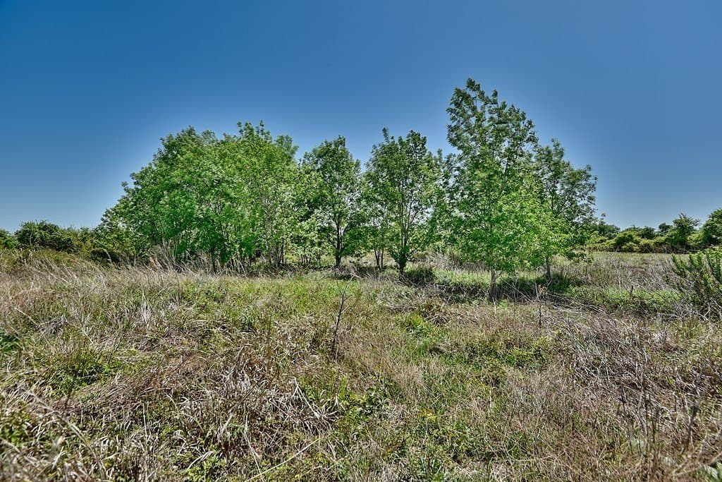 15 acres in Fayette County gallery image 3