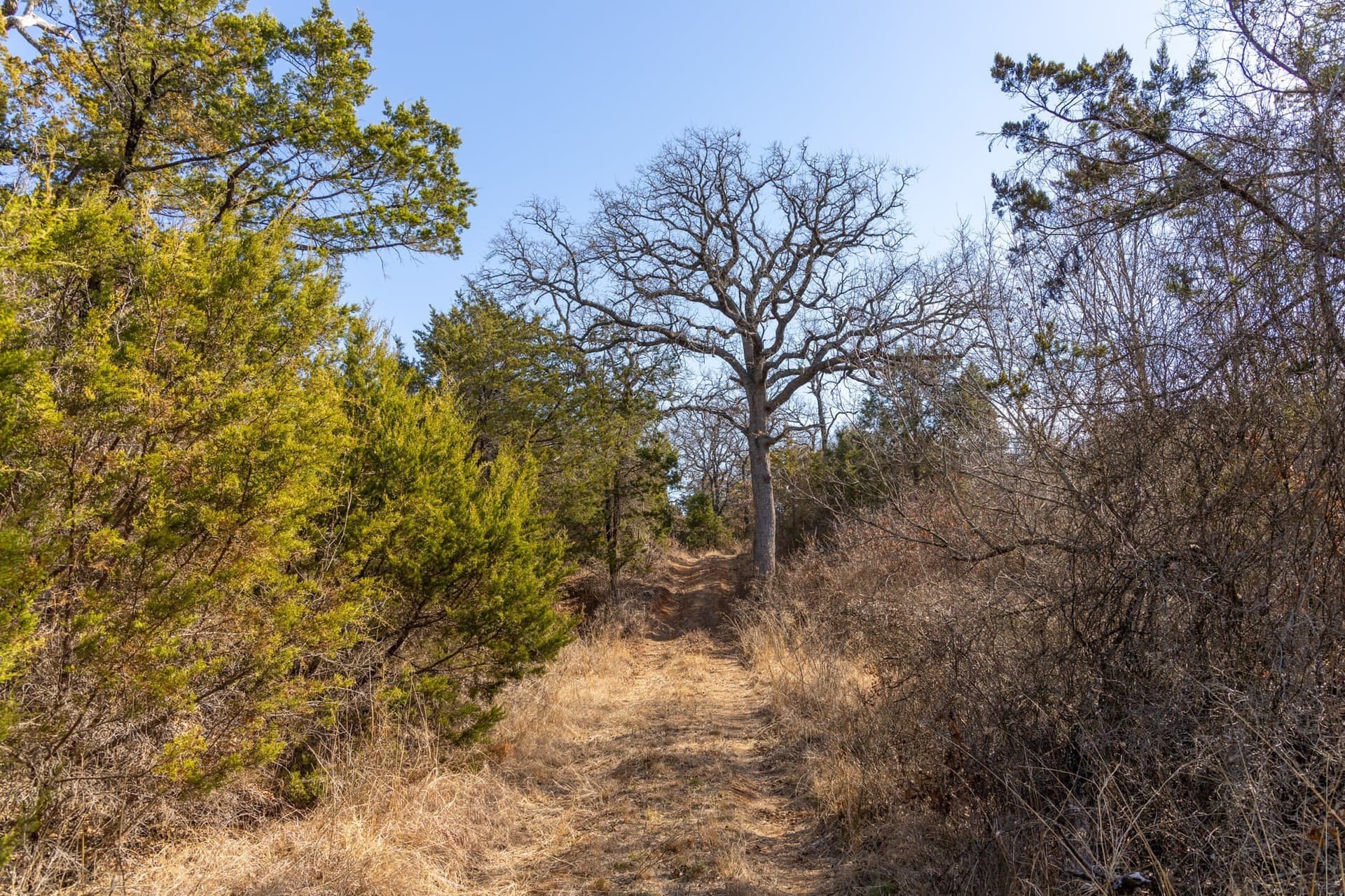 86.17 acres in Erath County - photo 16