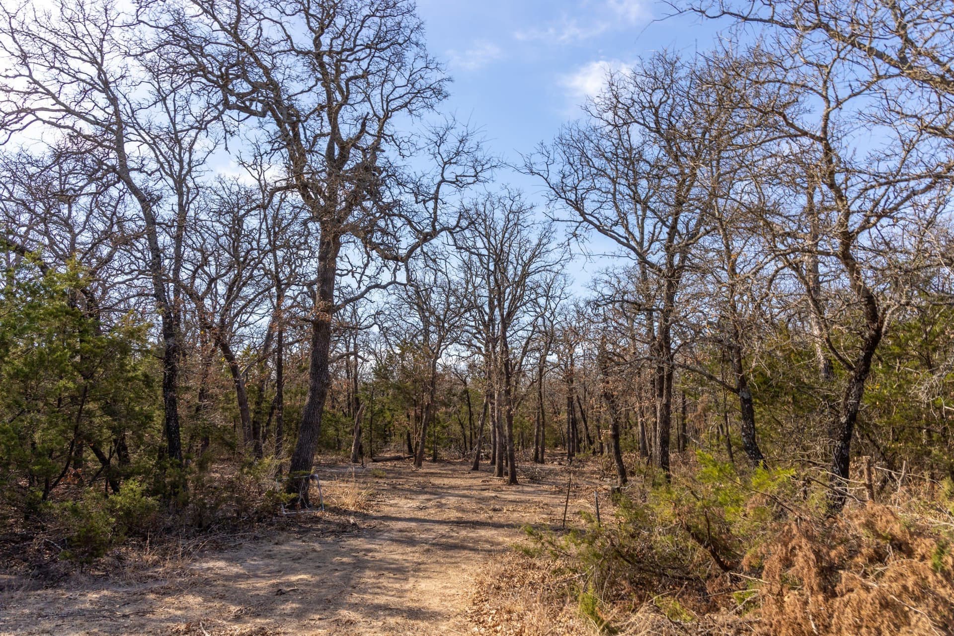 86.17 acres in Erath County - photo 15