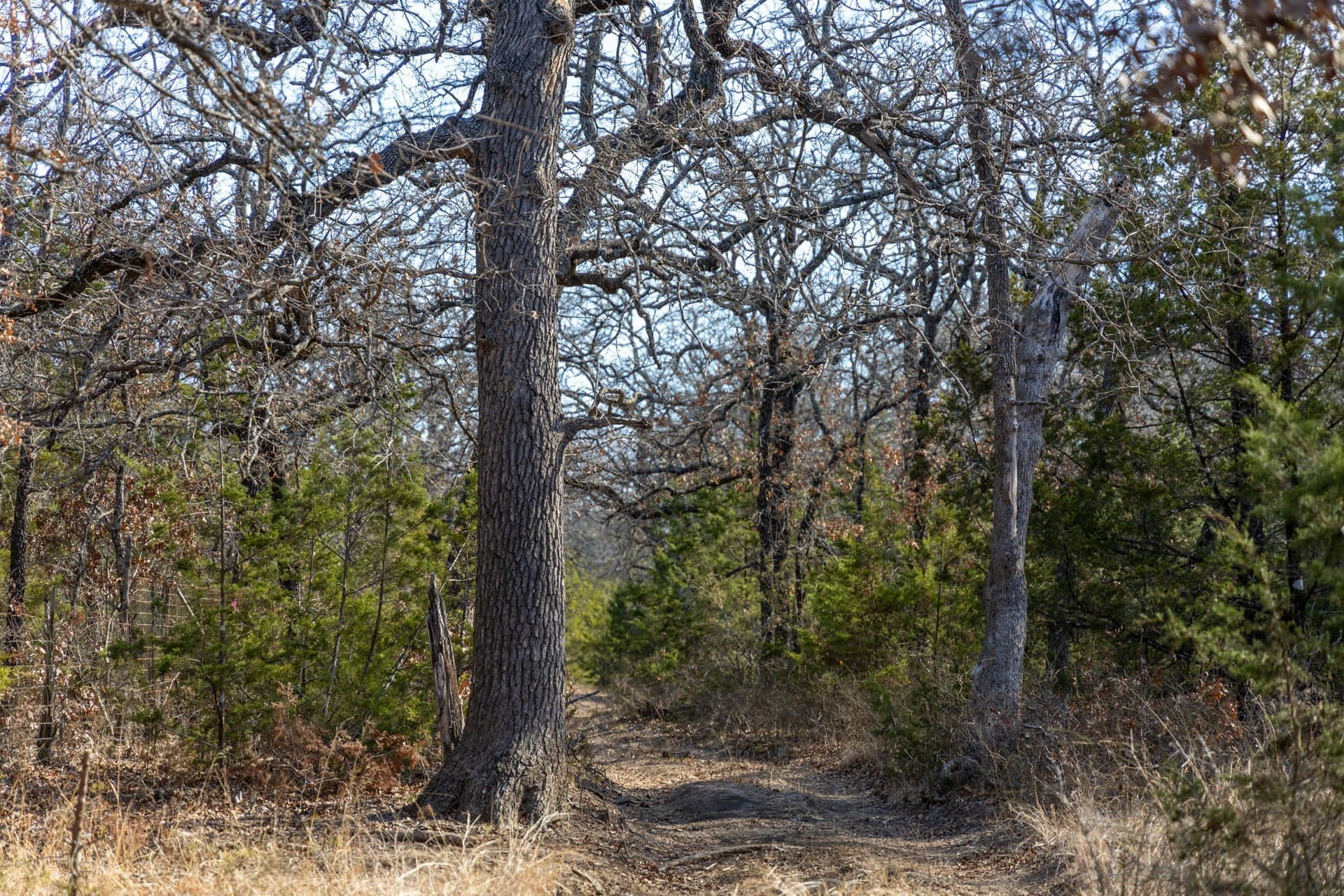 86.17 acres in Erath County - photo 14
