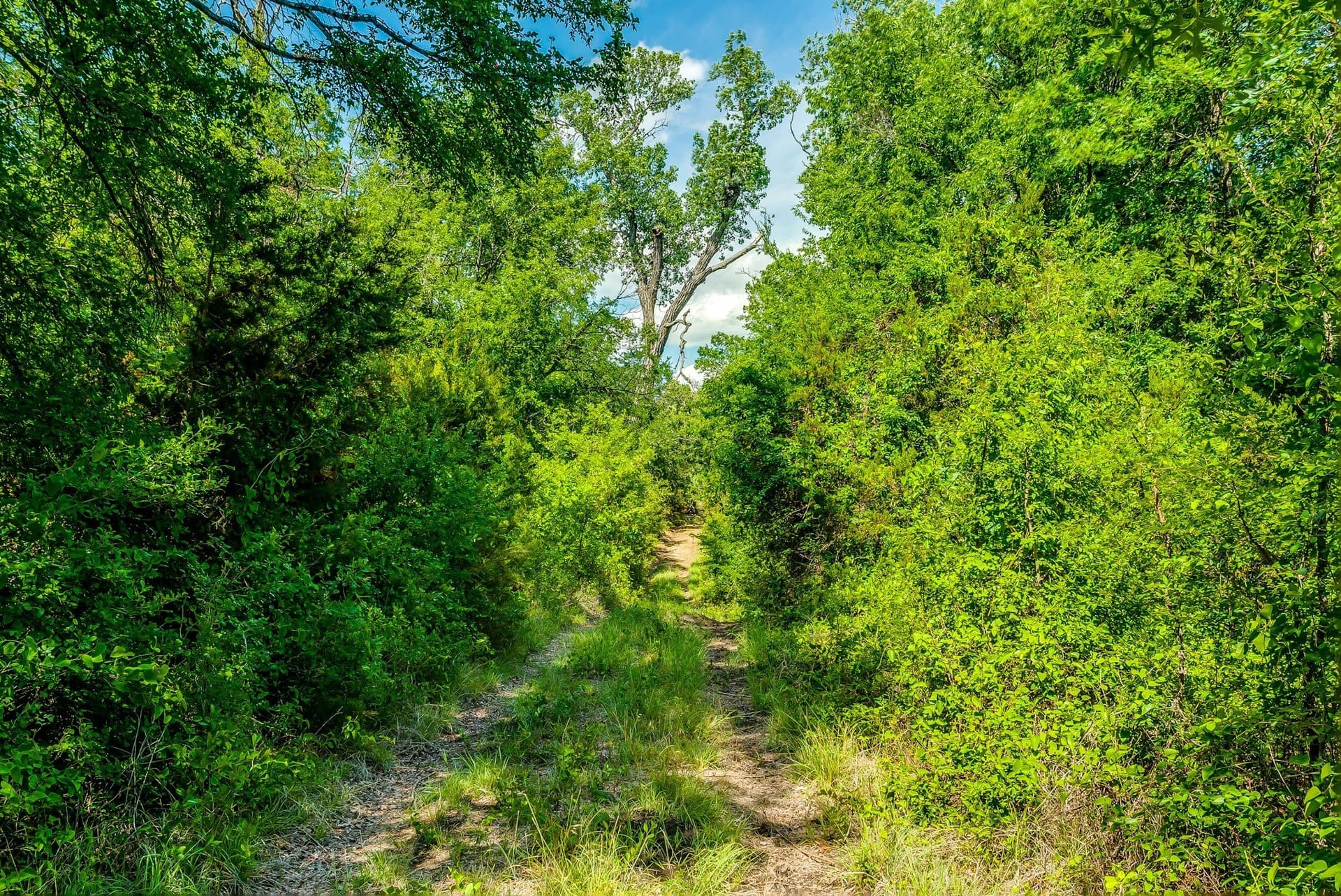 86.17 acres in Erath County - photo 10