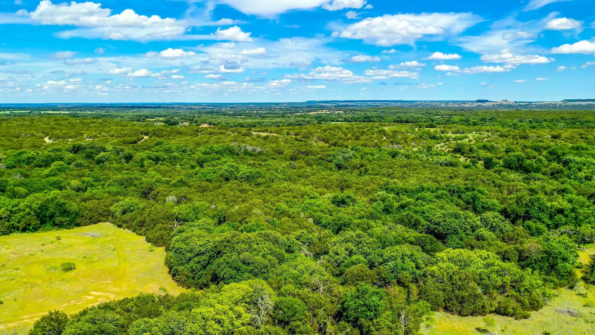 86.17 acres in Erath County - photo 8