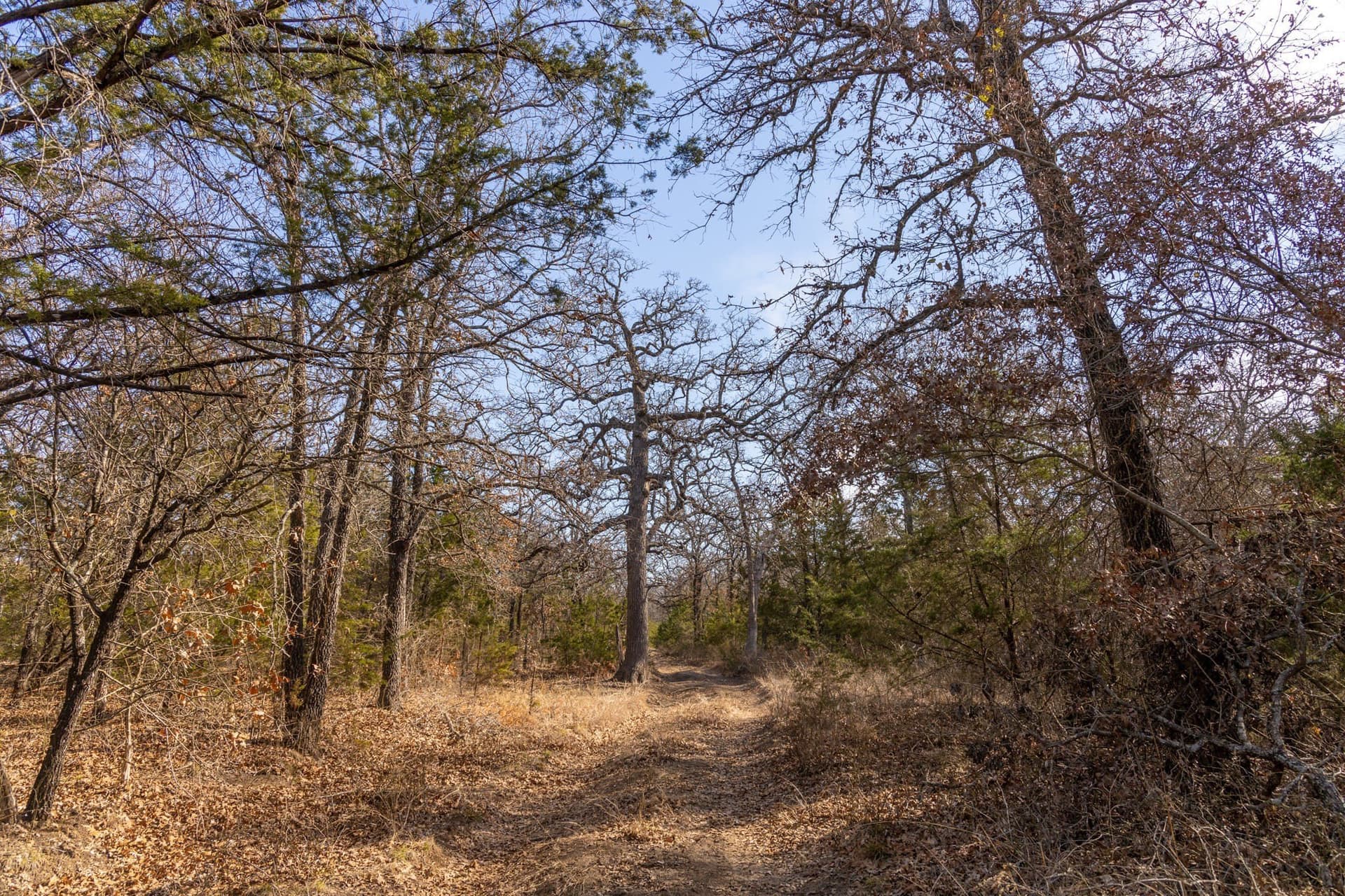 86.17 acres in Erath County - photo 13