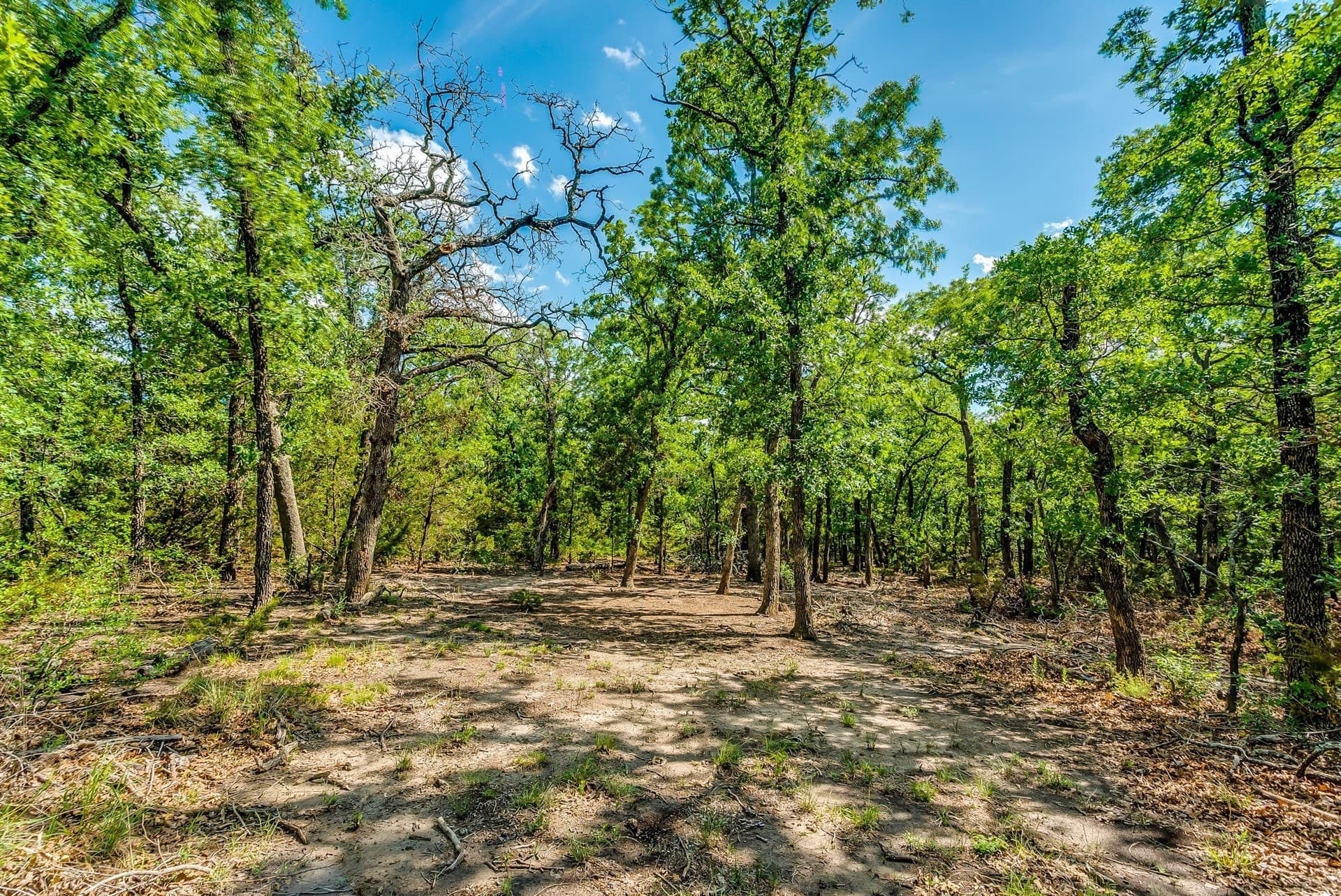 86.17 acres in Erath County - photo 12