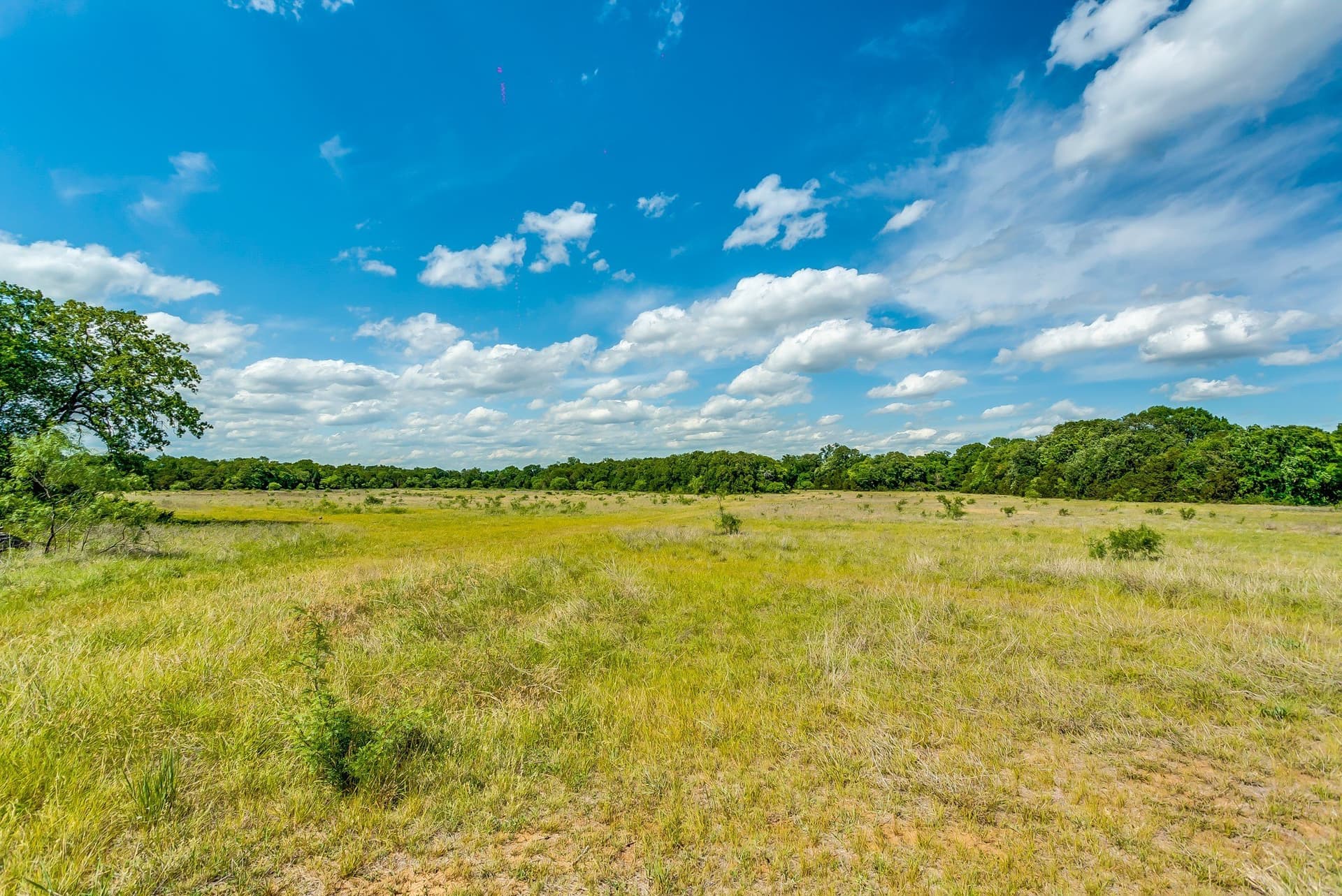 86.17 acres in Erath County - photo 9