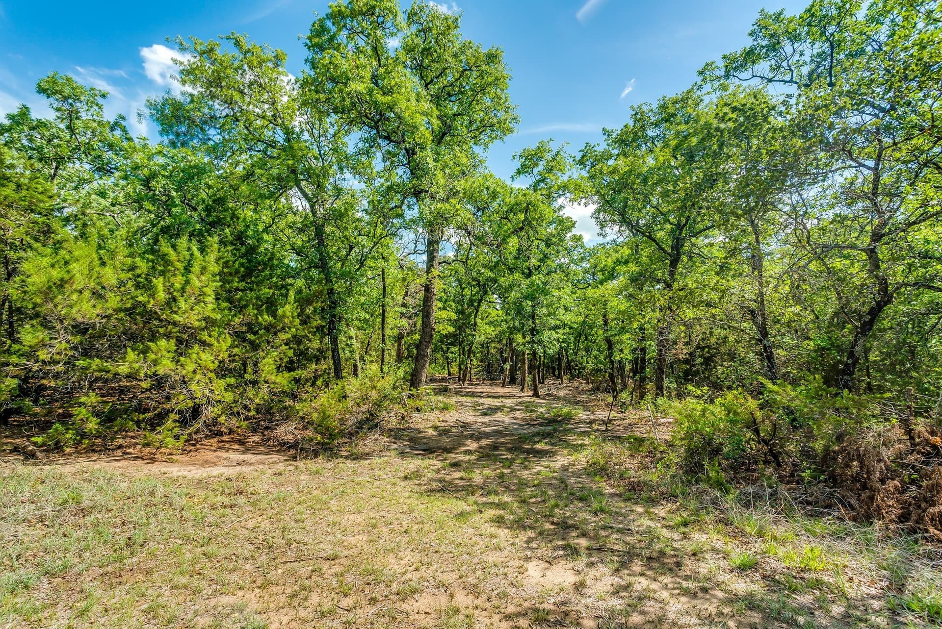 86.17 acres in Erath County - photo 11
