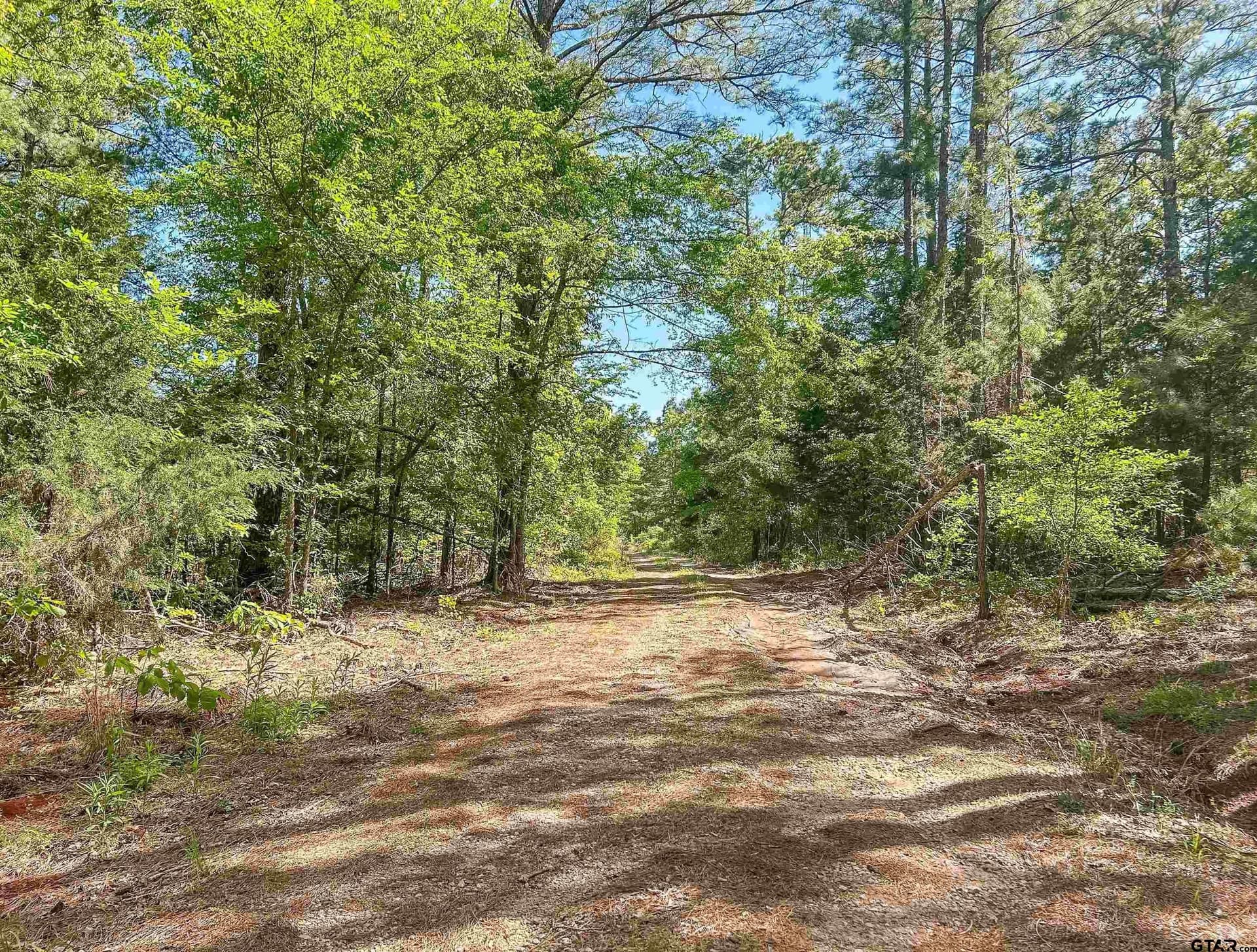 16.01 acres in Van Zandt County