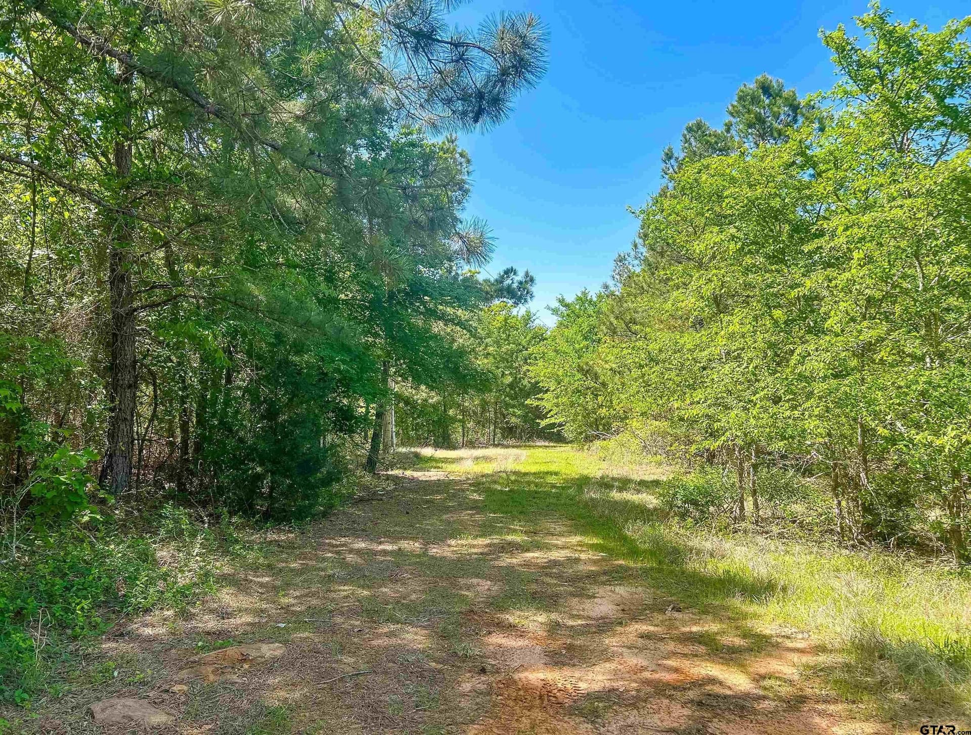 16.01 acres in Van Zandt County gallery image 2