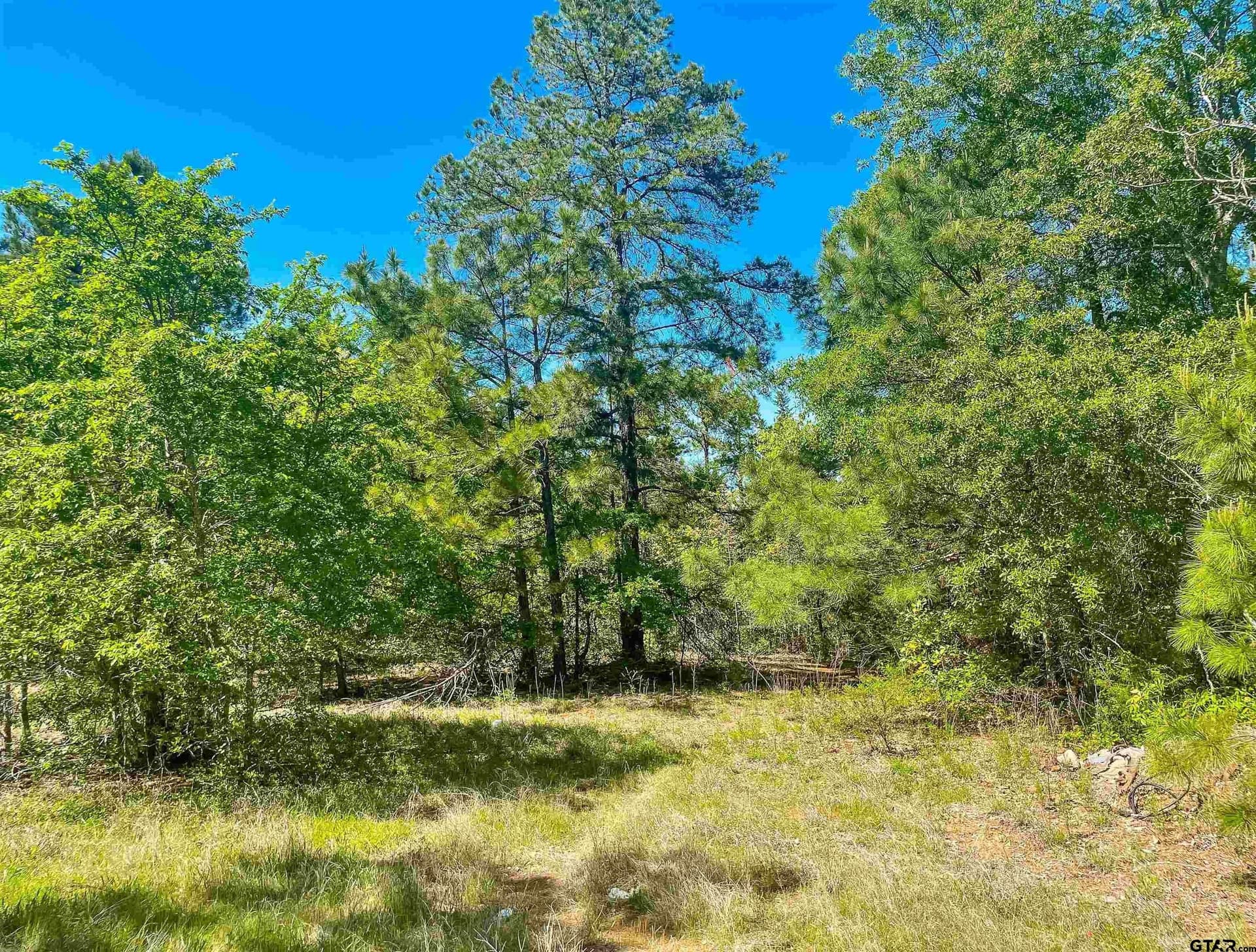 16.01 acres in Van Zandt County featured view