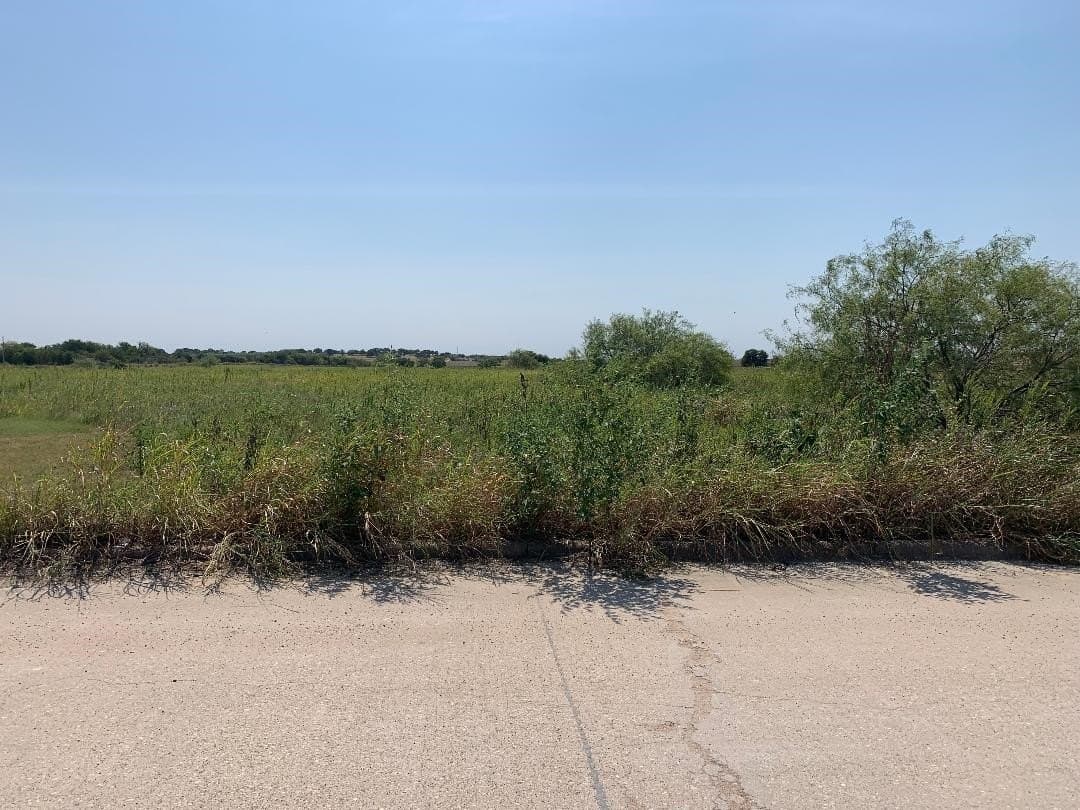 4.29 acres in Hill County - photo 4