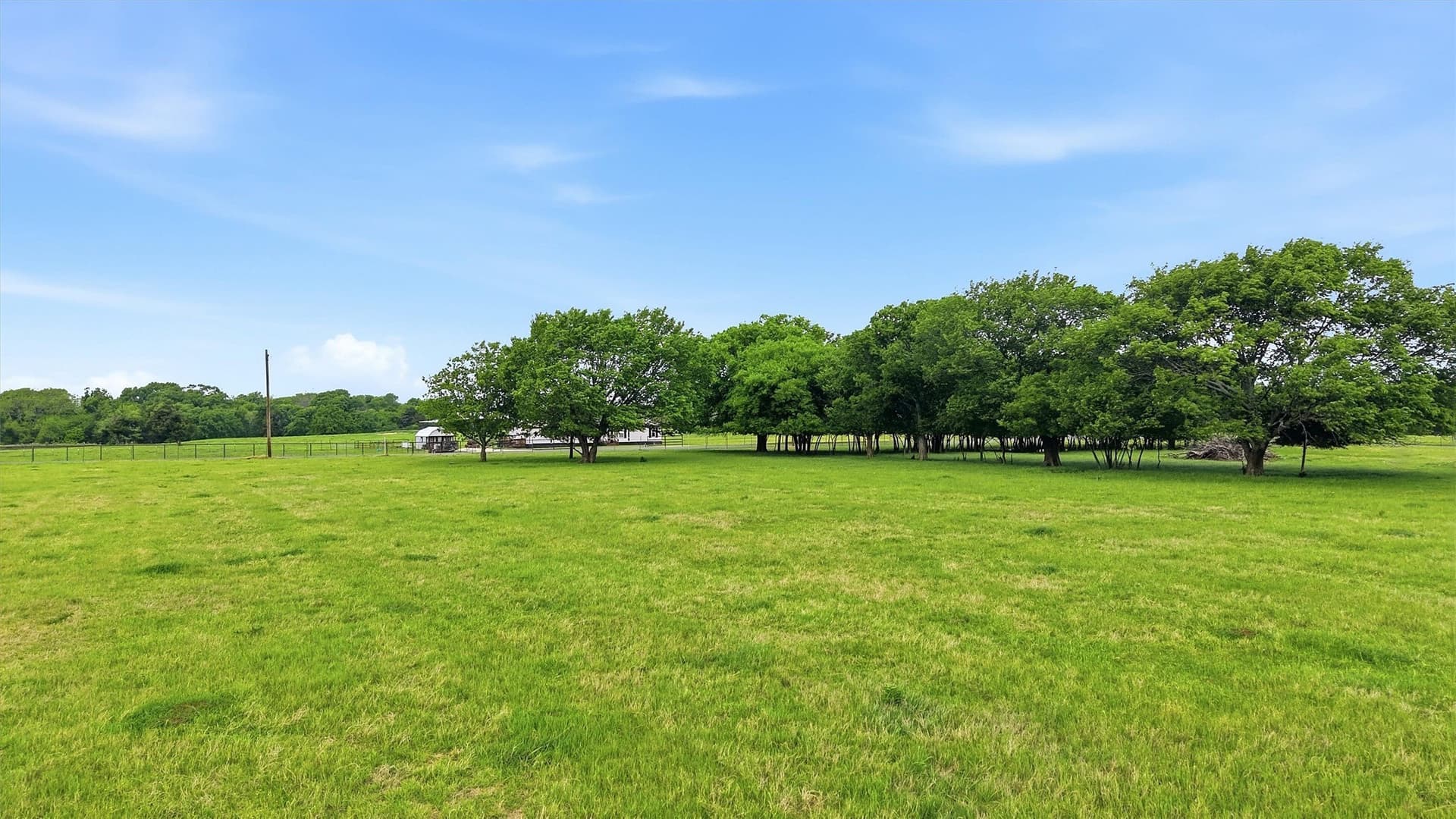 10.5 acres in Grayson County - photo 12