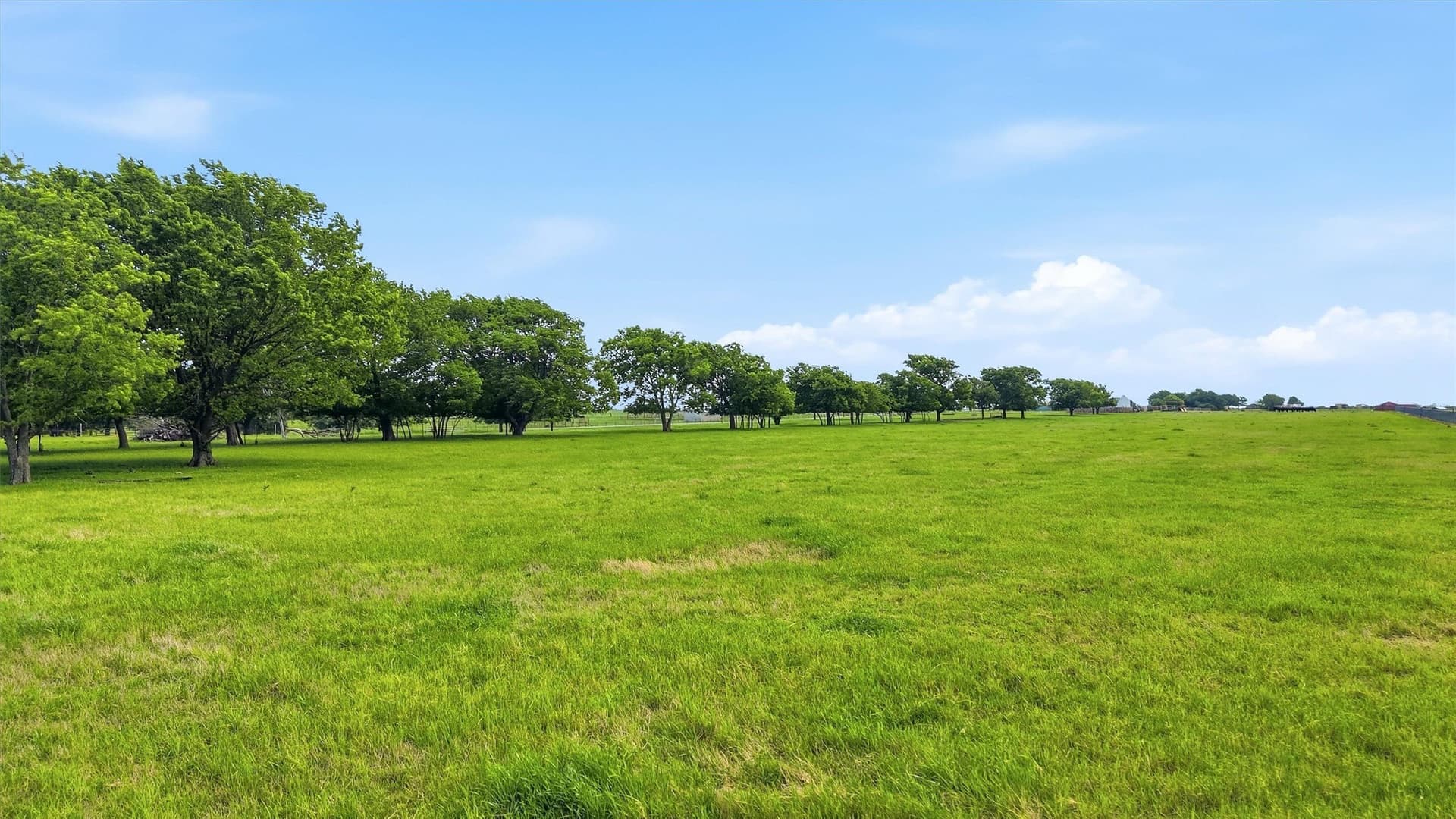 10.5 acres in Grayson County - photo 11