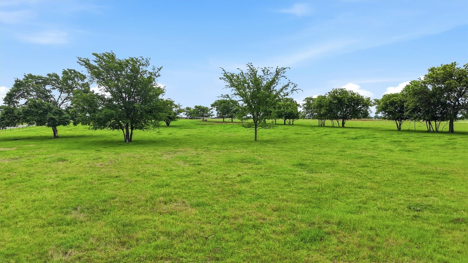 10.5 acres in Grayson County gallery image 4