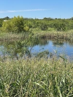 9.66 acres in Coleman County