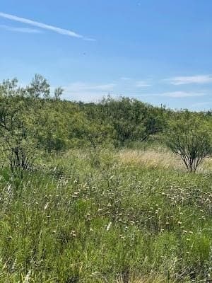 9.66 acres in Coleman County - photo 3