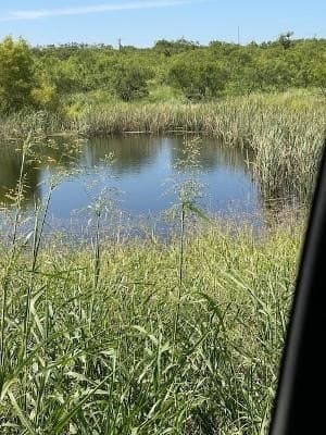 9.66 acres in Coleman County - photo 5