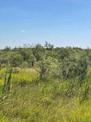 9.66 acres in Coleman County - photo 2