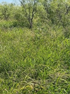 9.66 acres in Coleman County - photo 8