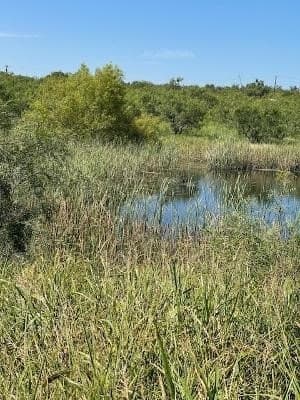 9.66 acres in Coleman County - photo 4