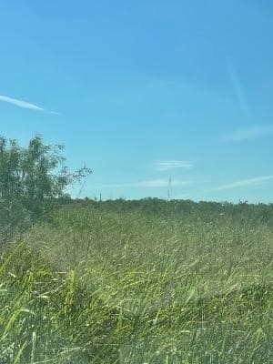9.66 acres in Coleman County - photo 7
