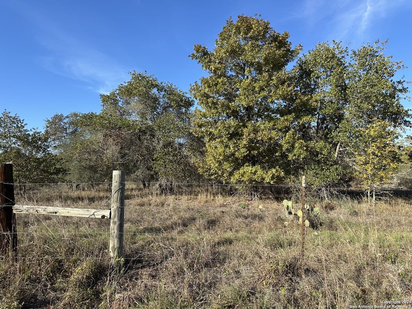 4.98 acres in Atascosa County gallery image 3