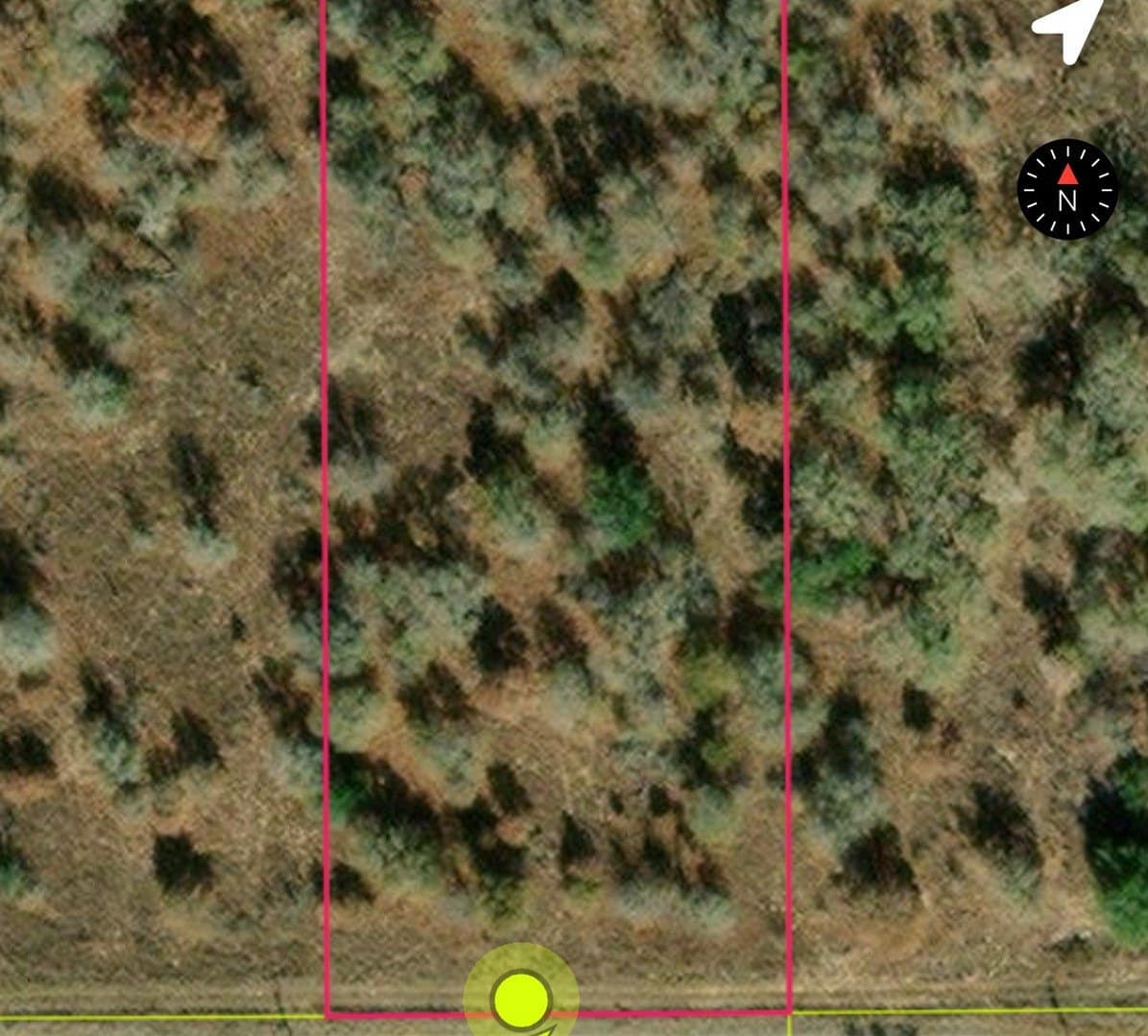 4.98 acres in Atascosa County featured view