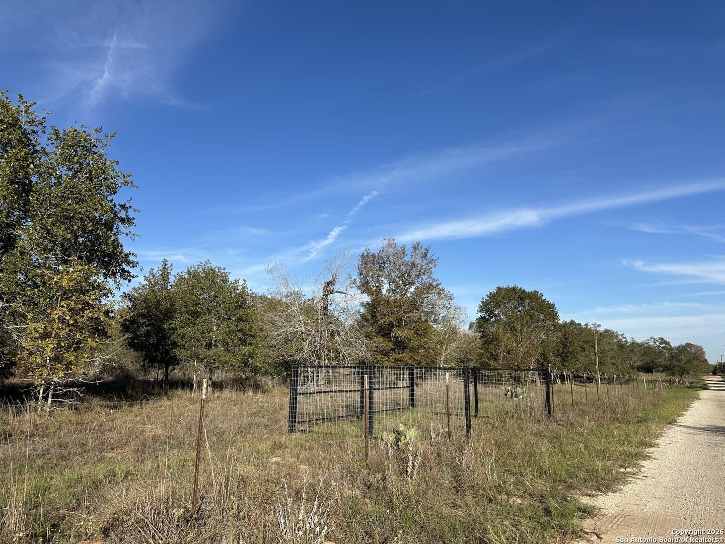 4.98 acres in Atascosa County gallery image 4