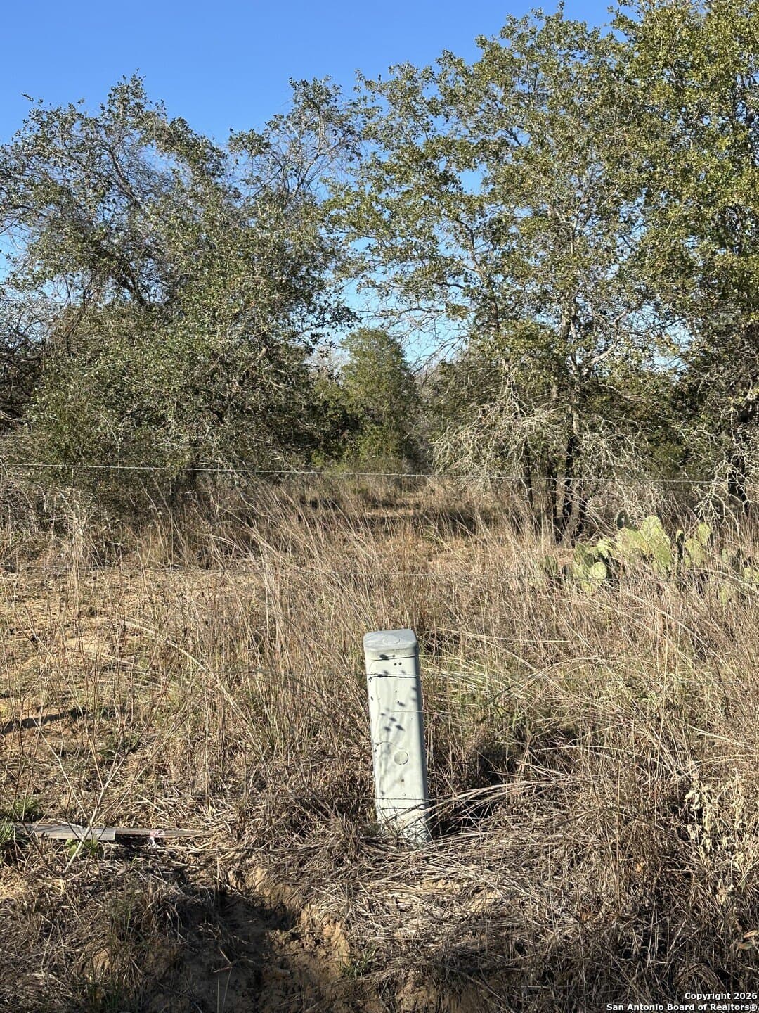 4.98 acres in Atascosa County gallery image 2