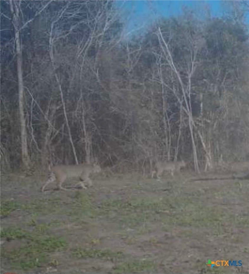 19.63 acres in Lavaca County - photo 12