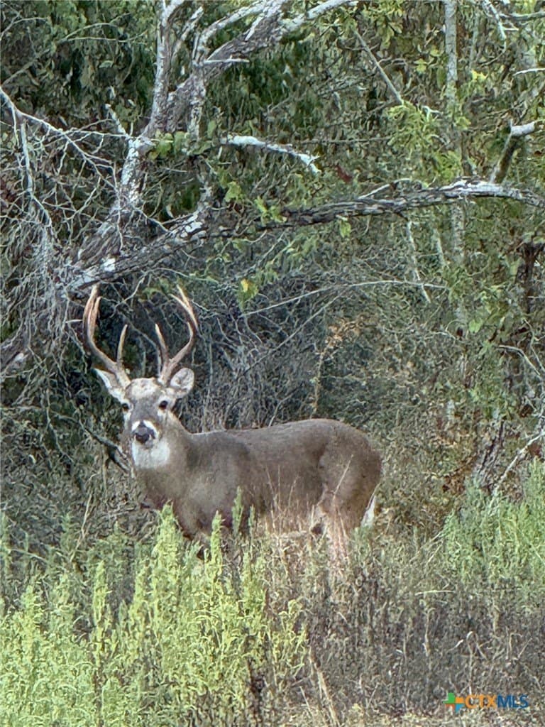 19.63 acres in Lavaca County