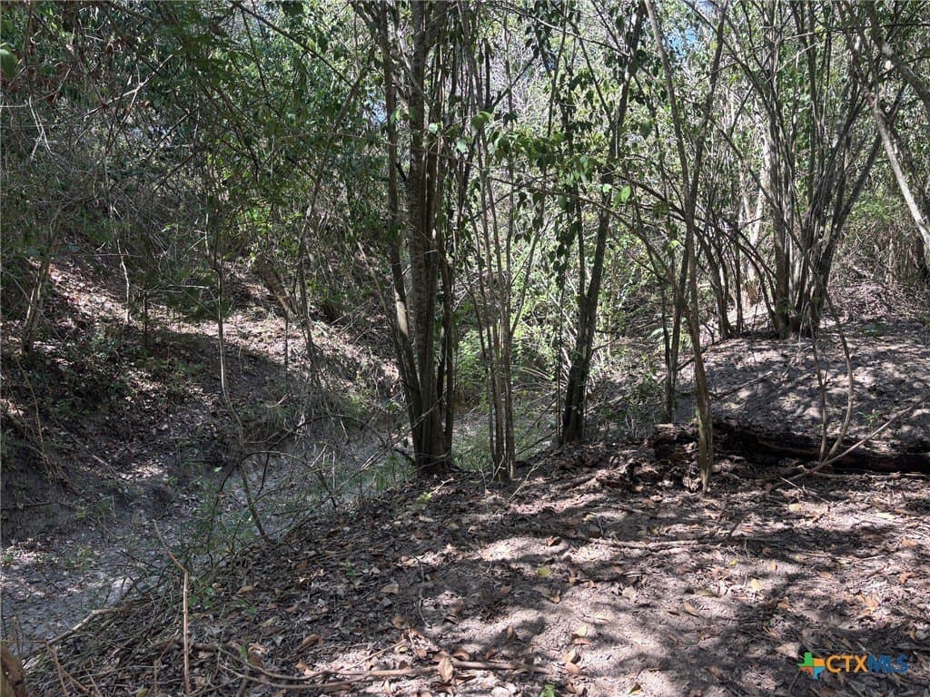 19.63 acres in Lavaca County - photo 19