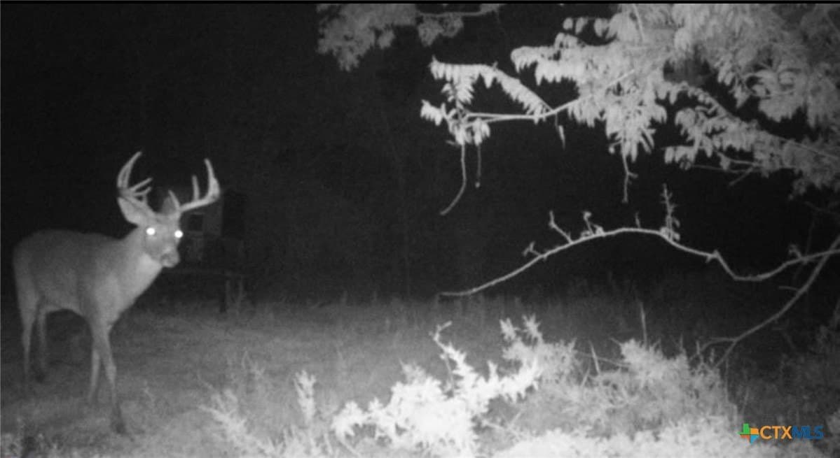 19.63 acres in Lavaca County - photo 10