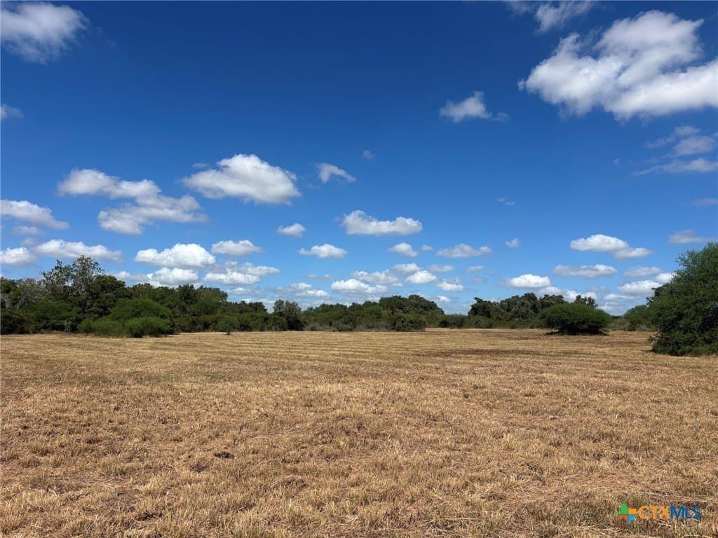 19.63 acres in Lavaca County - photo 23