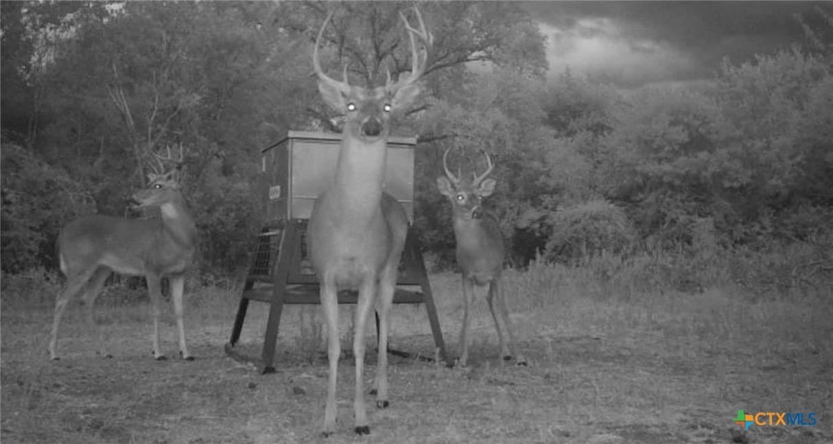 19.63 acres in Lavaca County - photo 11