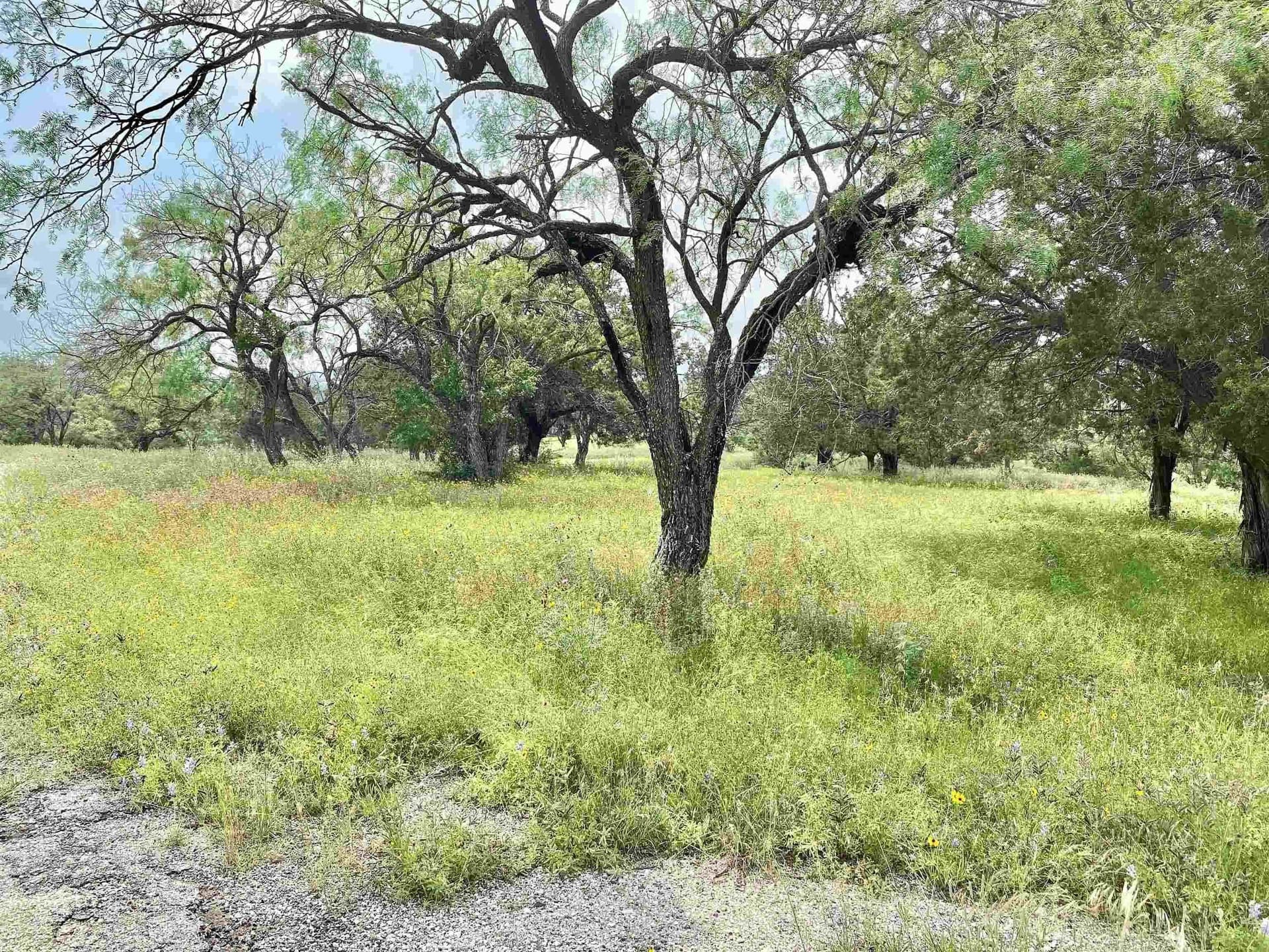 0.29 acres in Llano County gallery image 4