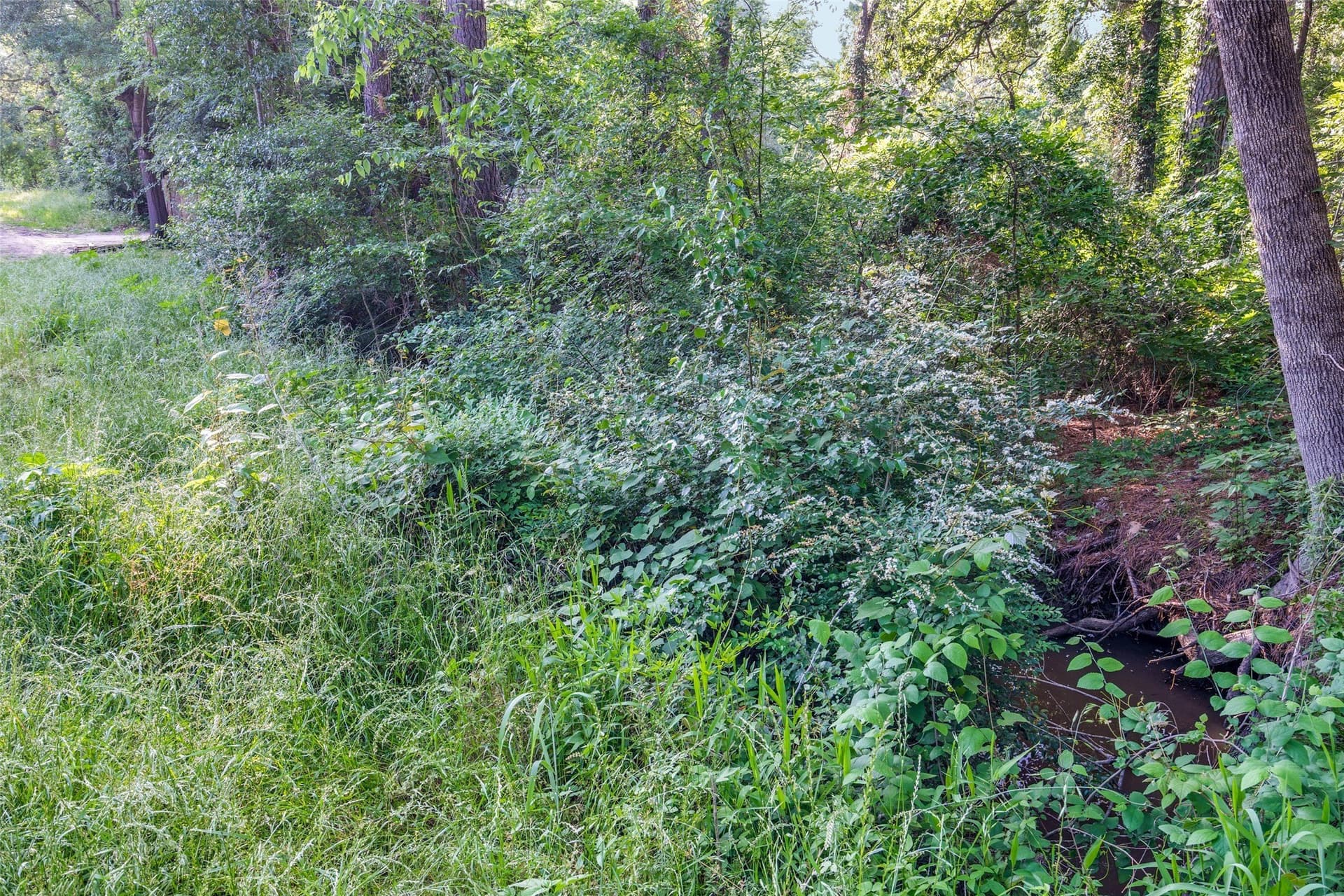 0.17 acres in Henderson County - photo 9