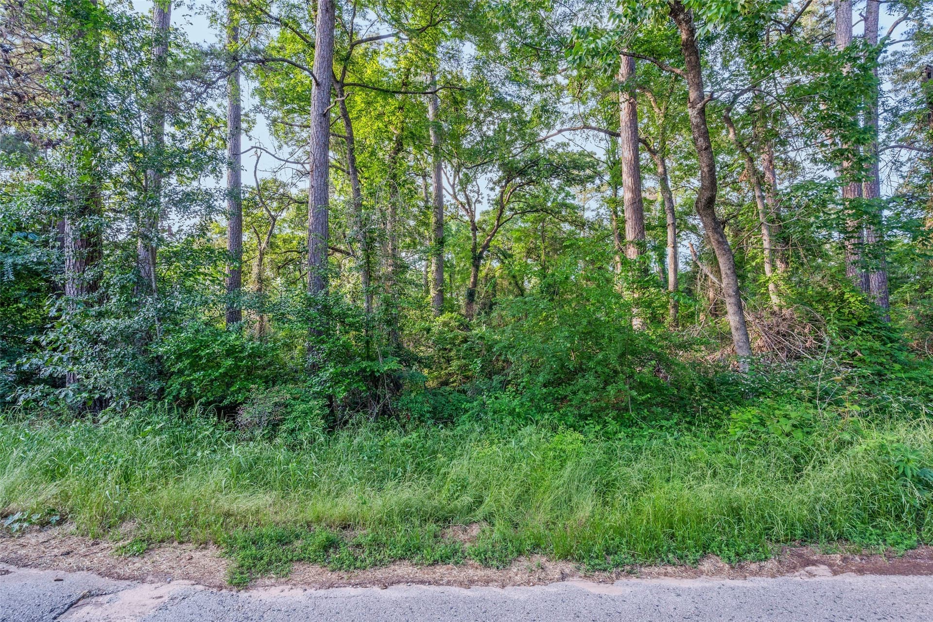 0.17 acres in Henderson County - photo 11