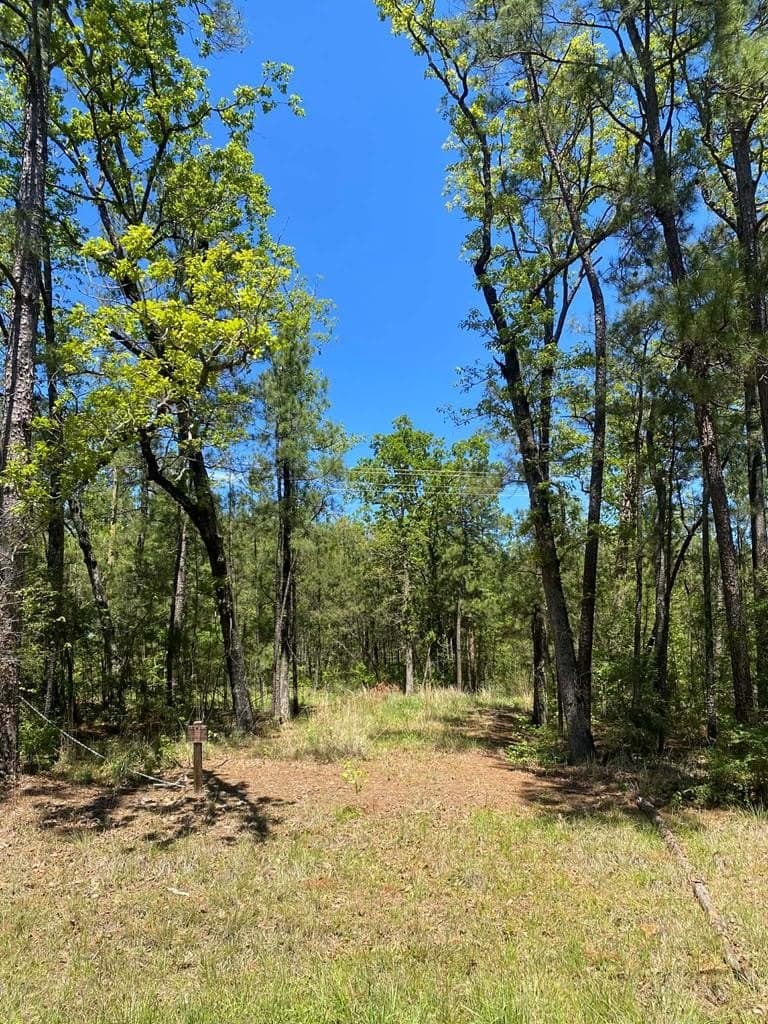 2 acres in Texas County featured view