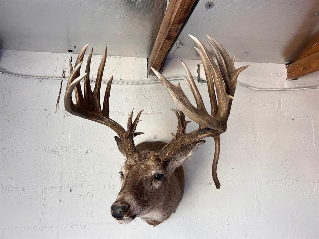 12.27 acres in Bosque County gallery image 2