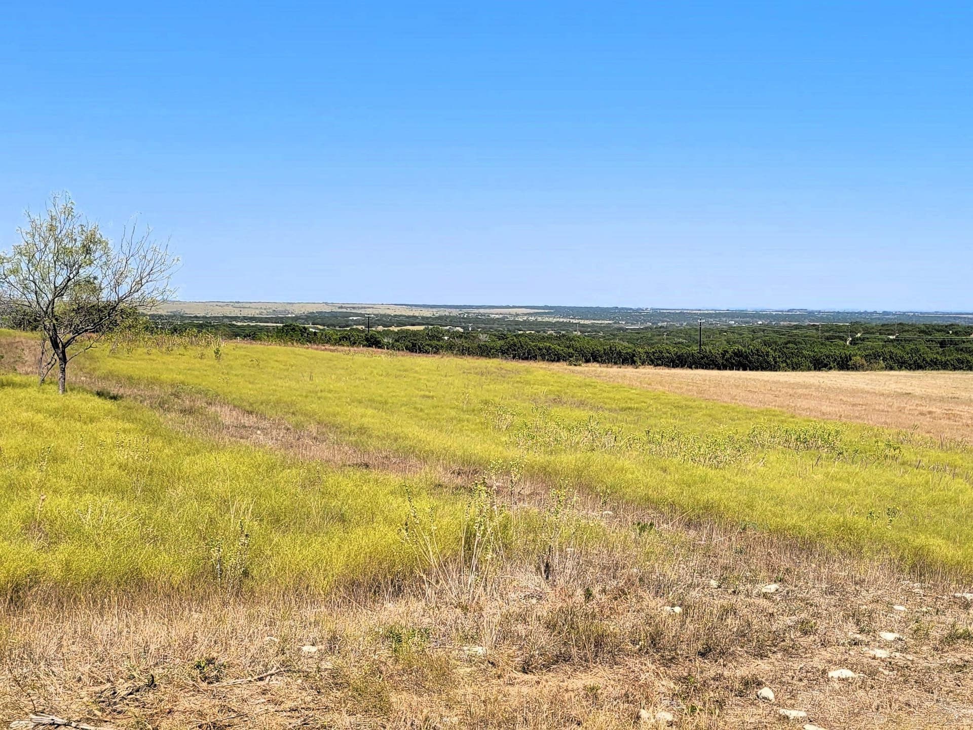 11.03 acres in Burnet County gallery image 4